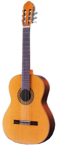 Raimundo 123 Spruce